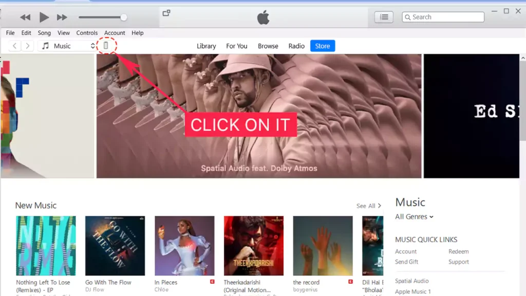 Now-you-can-see-the-iOS-device-at-the-top-left-of-iTunes